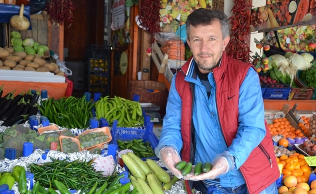 Zam şampiyonu salatalık oldu