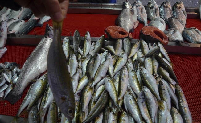 Karadeniz’in balığı Ege’den