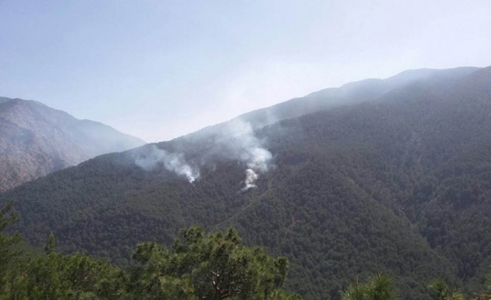 Teröristlerin çıkardığı orman yangını söndürüldü