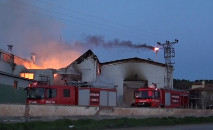 Yumurta viyolü üretimi fabrikasında yangın