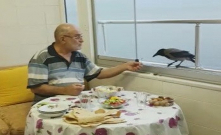 Akıllı karga her iftar sofrada