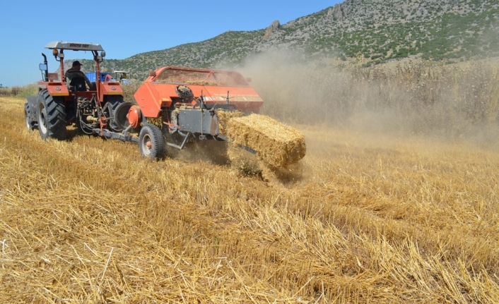 Çukurova’da saman balyalama mesaisi başladı