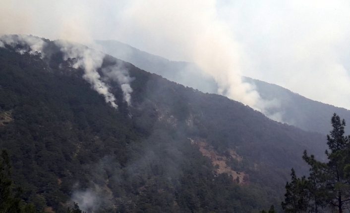 Hatay’daki orman yangın söndürülemedi