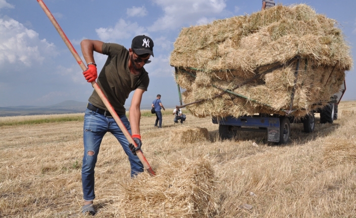 Sıcak havada çiftçilerin ot toplama mesaisi