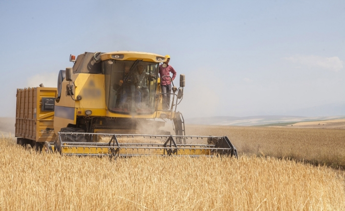 Buğday, arpa, mısır ve pirinç ithalatında tarife kontenjanı açıldı