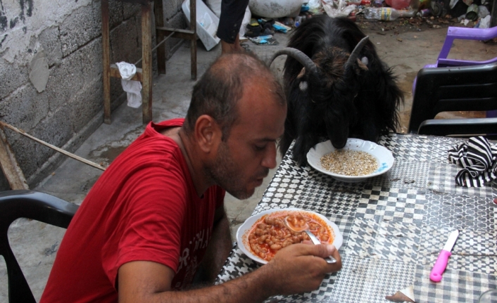 Yedikleri içtikleri ayrı gitmiyor