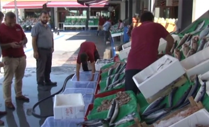 Balık tezgahlarındaki bolluk yüzleri güldürdü