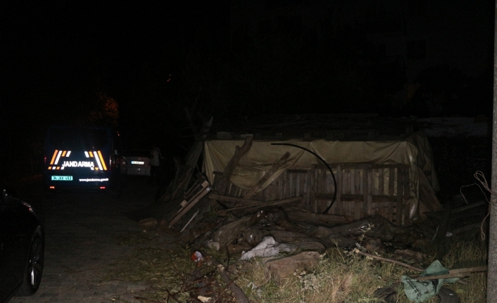 İstanbul’da 2 mahallede şarbon karantinası