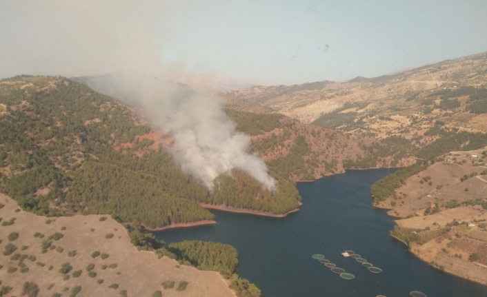 Kahramanmaraş’ta orman yangını