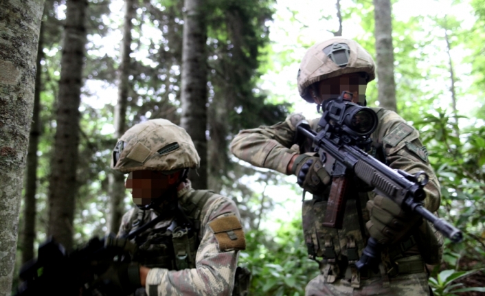 PKK’nın Karedeniz yapılanmasına büyük darbe