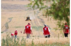 Ankara’da Hasat Edilen Nohutlar Kızılay Aşevinde Sıcak Yemek Olacak