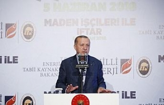 "Biz ithali durduracağız"