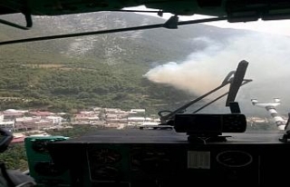 Hatay’daki orman yangını