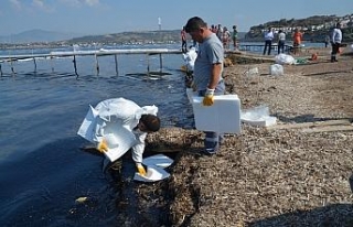 Foça’daki kirliliğe ilişkin açıklama