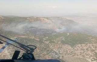 Hatay’da orman yangını