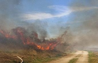 İstanbul’da makilik alanda yangın