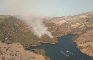 Kahramanmaraş’ta orman yangını