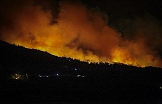 Sisam Adası’nda yangın