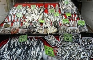 Çanakkale'de tezgahlardaki balık çeşitliliği,...