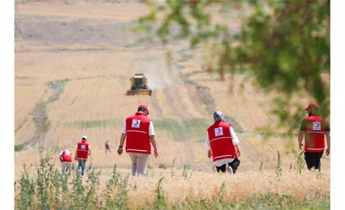 Ankara’da Hasat Edilen Nohutlar Kızılay Aşevinde Sıcak Yemek Olacak